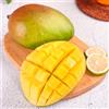 Generic Semi di mango, giardino di da piantare, regali per gli amanti del giardino semi di semi rari da fresca 4pcs