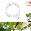 CLRZOL Clip di sicurezza in plastica per piante, clip di supporto per piante riutilizzabili per il giardino, clip di fissaggio per piante pomodori, clip di supporto per tralicci in plastica (Bianco 100 PC)
