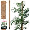 KOTARBAU® Tutori per Piante - ⌀ 3,2 x 150 cm - Palo di Muschio per Monstera - Fibra di Cocco - Palo per Piante - Marrone - Stecche di Supporto - Bastone Fibra di Cocco