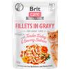 Brit Care Filetti in Salsa Cibo Umido per Gatti - 24 x 85 gr - Tacchino e Salmone