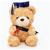 FGen Orsacchiotto per la Laurea, 23 cm, Orsetto di Peluche, Regali Laurea, Diploma e Cappello di Dottore, per Scuola Laurea Decoro, Regali di Laurea per Studenti (Cappello blu, marrone chiaro)