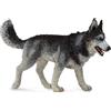 Collecta - Col88707 - Siberian Husky - Taglia L