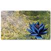 Four leaves Black Lotu,DE - Gioco da tavolo MTG - Tappetino da gioco + custodia impermeabile gratuita, TCG Card Game Table Mat, dimensioni 60 x 35 cm, Mouse Pad compatibile con Digimon MTG TCG CCG RPG