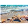 Mexpekil 1000 pezzi puzzle per adulti oceano mare spiaggia stelle marine conchiglie puzzle in legno impegnativi giochi di puzzle per adolescenti regali