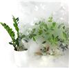 DecoMeister Pellicola Statica per Finestre 45x150 cm - Pellicola per Vetri Decorativa in PVC Perdita di Luce e Senza Colla - Facile da Applicare per Finestra e Cabina Doccia - Motivo Foglie 3D