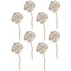 Angoily Bastoncini Diffusore Fiore Aromaterapia 8 Pezzi Bastoncini in Rattan Per Profumatori Decorazione Casa Soggiorno Camera Da Letto