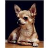YSCOLOR Diamond Painting Kit Di Pittura Diamante Fai Da Te 5D Trapano Rotondo Cane Chihuahua Ricamo Strass Completo 30x40cm