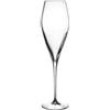 Luigi Bormioli Atelier Set Calici per Prosecco/Champagne, Vetro, 6 Unità (Confezione da 1), 9.25 fl oz