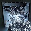 Luccika Cluster Luci a Grappolo con LED da Ø3mm, 4 Effetti di Luce, Telecomando, Timer, Cavo Verde IP44 per Uso Interno/Esterno, 31V (Bianco Ghiaccio, 19,5 Metri - 2184 Led)