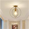 Chao Zan Lampada da soffitto vintage, a gabbia, in metallo dorato, stile vintage, lampada da soffitto industriale, per soggiorno, sala da pranzo (A)