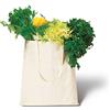 Borshe Shopping Stock 30 Pezzi Borsa Shopper Shopping in Cotone Naturale