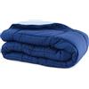 Russo Tessuti Trapunta Piumone Invernale Singolo Matrimoniale Bicolor Doubleface Microfibra-Blu-Singolo