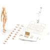 Raxove DX Set Uomo e Donna Colore Grigio e Body Chan Set, DX Set, PVC Azione Disegno Manichino per Artisti Modello Disegno per SHF S H Figuarts Giocattoli da Collezione