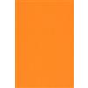 Netuno 100x carta colorata arancione formato A4 210 × 297 mm 115g Sirio Color Arancio carta colorata per stampante fai da te bigliettini inviti partecipazioni Natale matrimonio compleanno