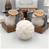giftupstore bomboniere matrimonio, Rosa pezzi candele profumate bomboniere battesimo, anni ragazzo, comunione, cresima, anniversario di, compleanno bigliettini (bianco, set di 100)