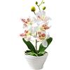 Generico 1 Piece Mini Orchidee Rosse Artificiali in Vaso Verde Simulazione di Orchidea Farfalla Finta Tavolo da Pranzo Decorazione Fiore 27 cm (bianco)