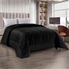 IlGruppone Trapunta Matrimoniale Velluto Piumone Invernale 625 Gr/Mq Piumino Caldo Due Piazze Inverno Coperta Duck Friendly (Nero)