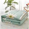 Chickwin Trapuntino Copriletto Matrimoniale Singolo, 3D Semplice Reversibile Coperta Primaverile Autunnale Trapunta Estivo Trapuntato Coperta Letto per Camera da Letto (100x150cm,Verde Naturale)