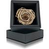 Aluisi Fiori Rosa Stabilizzata Oro in Cofanetto Nero - Rosa Stabilizzata Vera - Rosa Eterna - Fiore Stabilizzato - Fiori Stabilizzati - Simbolo di Amore Prezioso ed Eleganza - Idea Regalo