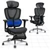 FLEXISPOT Sedia Ergonomica da Ufficio con Supporto Lombare a Doppia Ala, Poggiatesta e Braccioli 3D, Seduta Regolabile, Schienale Reclinabile a 3 Livelli, Altezza Regolabile, Colore Nero