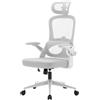 SIHOO M102C Sedia Ergonomica da Ufficio con Braccioli Ribaltabili, Supporto Lombare Regolabile, Design Ergonomico per Scrivania e Uso Domestico - Telaio Bianco Maglia Grigio Chiaro