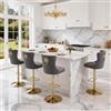 Relbiety Set 4 Sgabelli da bar Velluto Altezza Regolabile,Grigio Scuro Oro | Sgabelli Cucina Moderni con schienale testa di leone, Girevole 360°, Base Metallo dorato