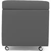 ARKETICOM Swing POUF CONTENITORE ECOPELLE con Ruote 42X42h Grigio