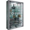 VCM 904115 vitrosa Mini Vetrina a Parete Legno Argento 90 x 59 x 18 cm