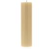 SHALOM - Candela Cero per Liturgia, Avvento E Quaresima in Cera D'api. Dimensioni 8x30 Cm