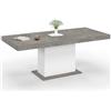 IDMarket - Tavolo da pranzo rettangolare allungabile EDEN 6-10 persone in cemento e bianco 160-200 cm