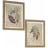Loberon Guyra Coppia di Quadri - Fantasia Floreale nostalgica - Affascinante Stile Vintage, Beige/Marrone