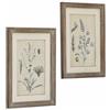 Loberon Stanbury Coppia di Quadri - Due Stampe naturalistiche - Carta Riciclata, Marrone/Bianco