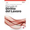 Il Sole 24 Ore Manuale di diritto del lavoro