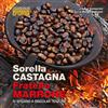Edizioni Artestampa Sorella castagna fratello marrone si sfidano a singolar tenzone