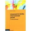 Il Mulino Lineamenti di diritto internazionale penale. Diritto processuale (Vol. 2)