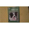 De Vecchi Border collie