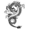 Generic 5 PCS Temporary Tattoos Adesivi Per Tatuaggi A Base Di Erbe Con Succo Di Drago Cinese, Adesivi Per Tatuaggi Antiriflesso Semipermanenti, Impermeabili E Durevoli