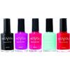 MOYOU LONDON MoYou Nails Bundle of 5 Stamping Nail Polish: Nero, Ciclamino, Rosso Fuoco,Azzurro Polvere , Rosso Colori utilizzato dai professionisti del Settore Nail per ottenere decorazioni belle e alla moda provenienti direttamente dal distributore