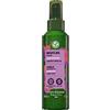 Yves Rocher - Crema per definizione dei ricci con metodo Linen Bio-Curly per ricci marcati e flessibili - Formula vegana - Senza silicone - 150ml