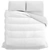 Spizzico Home PIUMINO INVERNALE - 1 Pezzo - Singolo (150x200)