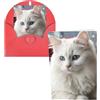 GDSHJKLW Biglietto di auguri bianco con simpatico gatto bianco con buste, 10,2 x 15,2 cm, biglietti di ringraziamento, biglietti per tutte le occasioni, per Natale, vacanze, compleanno, laurea,