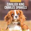 Red Robin Publishing Calendario da parete quadrato 2026, motivo: Cavalier King Charles Spaniels Red Robin Publishing
