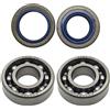 GTWSQQ Kit paraolio cuscinetto a sfere albero motore carter for pezzi di ricambio motosega HUS = QVARNA 362 365 371 372 XP benzina