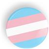 Generic Transgender Pride Flag Orgoglio Transgender perno o calamita da frigo LGBT LGBTQ LGBTQI LGBTQIA