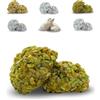 BRICIOLIAMO... [ 3 kg. ] - Paste di Mandorla Artigianali Fresche - MANDORLA 40% - 6 GUSTI DISPONIBILI/BOX MISTO - Dolci Tipici Siciliani, Prodotte in Sicilia. (Pistacchio, BOX | 3 kg)
