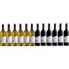 Cantina Aldeno Confezione completa 12 bottiglie Vino Vegano Biologico Trentino DOC | 6 tipologie di Vino Bianco e 6 di Vino Rosso | - Cantina Aldeno Linea BIOVEGAN