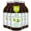 Graviola.de 6 x 100% SUCCO DI GRAVIOLA - non filtrato e vegano - (6 x 500 ml). Prodotto al con purea di 100% Graviola. Guanabana. Corossol. Soursop. Stachelannone.