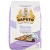 Generico Mulino Caputo Farina 00 Nuvola, Alta Qualità per Pasticceria e Pane, 10 Confezioni da 1 kg