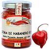 SFIZIDICALABRIA.COM PRODOTTI TIPICI CALA Crema di Peperoncino Habanero Rosso 92% Vaso in vetro 90gr Red Piccantezza Micidiale Salsa Piccante
