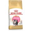 ROYAL CANIN Persian Kitten | 2 kg | Alimento completo per gatti - formulato specificamente per gattini Persiani (fino a 12 mesi) | Può aiutare a supportare il sistema immunitario